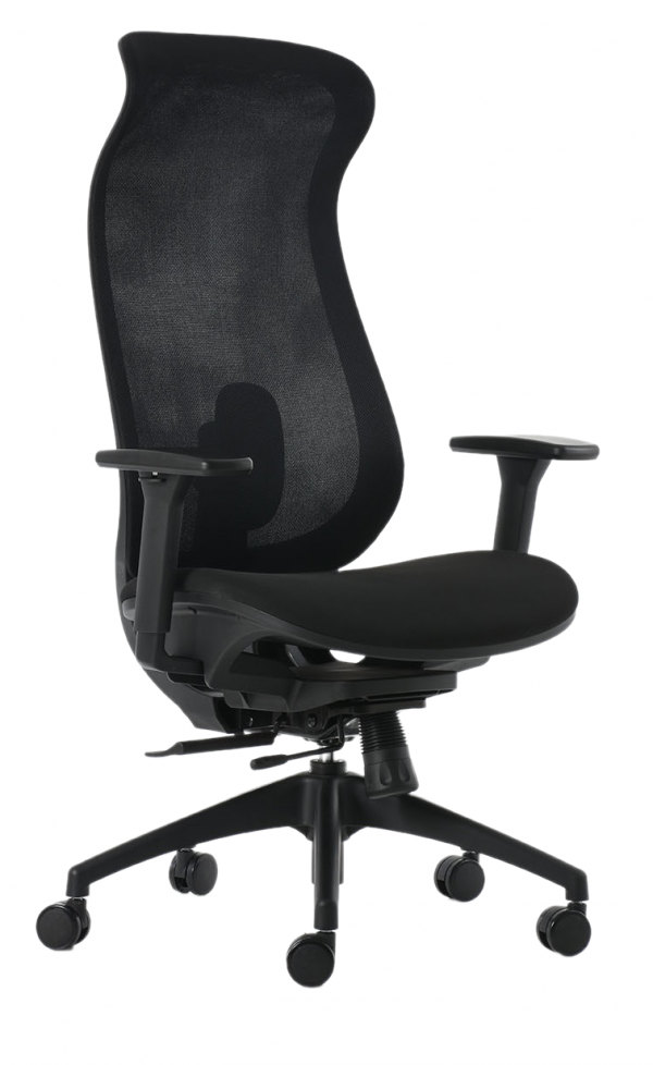Silla Directiva BM 6000