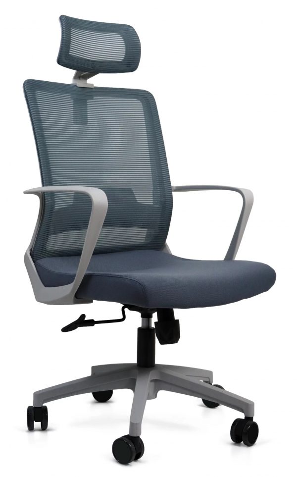Silla Directiva Moldavia